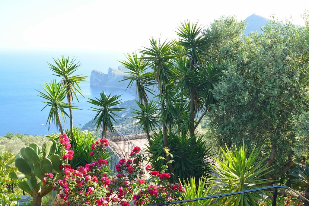 Appartement Neranya à Massa Lubrense Extérieur photo