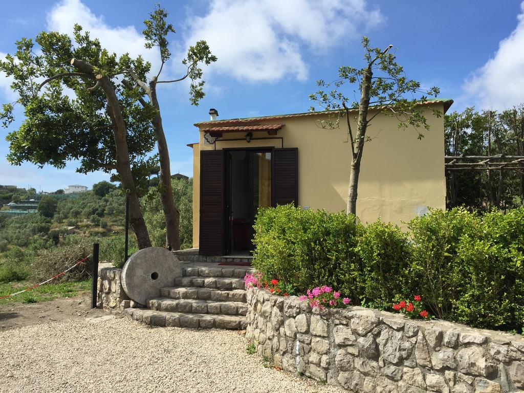 Appartement Neranya à Massa Lubrense Extérieur photo